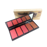 sheaffer-cosmetics-mineralize-5-color-blusher-matte-blush-on-palette